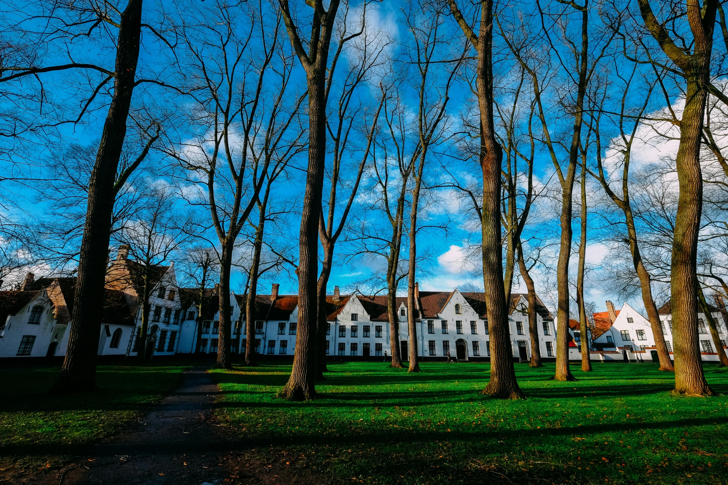 a large building surrounded by trees in a park, inspired by Gerard Soest, pexels contest winner, white houses, anthony moravian, today\'s featured photograph 4k, school courtyard