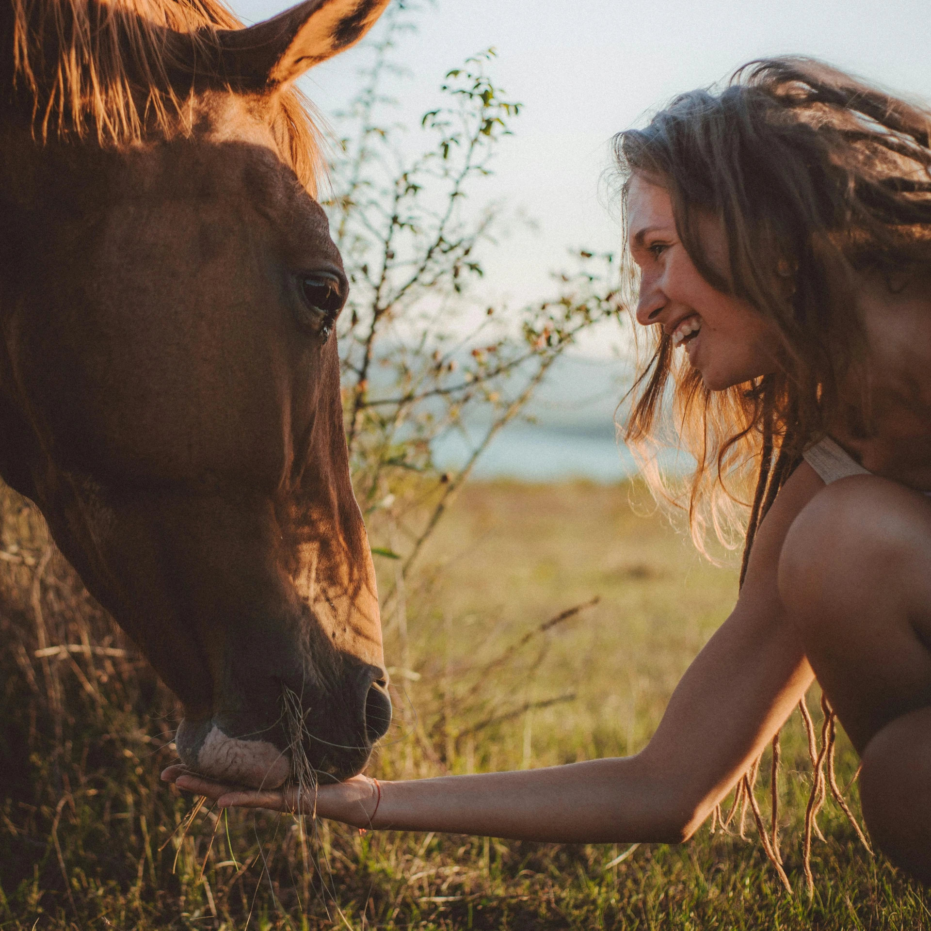 a woman petting a horse in a field, pexels contest winner, slightly erotic, 👰 🏇 ❌ 🍃, savanna, angelina stroganova