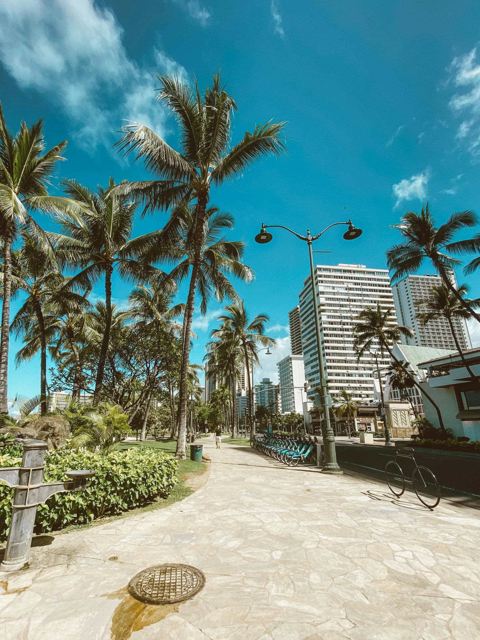 a street lined with palm trees next to tall buildings, by Robbie Trevino, hawaii beach, walkway, 🚿🗝📝