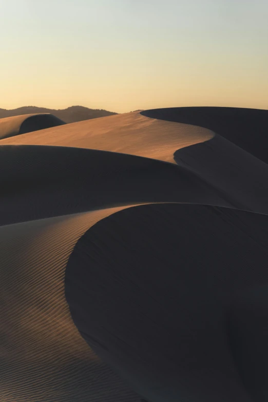 a group of people standing on top of a sand dune, ryan dyar, smooth shadows, victorian arcs of sand, at twilight