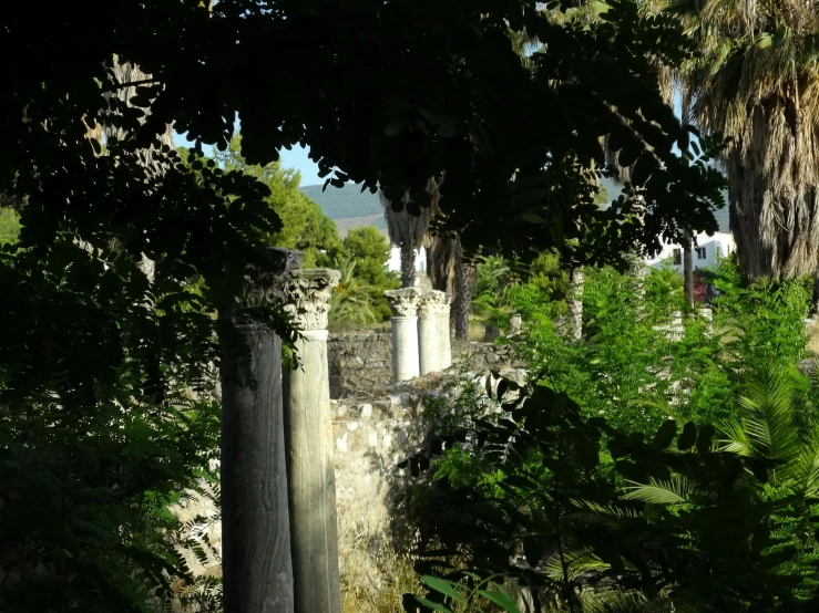 a bench sitting in the middle of a lush green park, by Tom Wänerstrand, romanesque, greek-esque columns and ruins, palms, as seen from the canopy, weeds and ivy on the graves