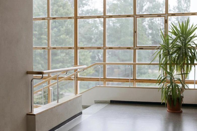 a plant that is sitting in front of a window, inspired by Constantin Hansen, unsplash, light and space, hospital interior, ballet, three - quarter view, walter gropius