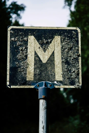 a close up of a street sign with trees in the background, an album cover, by Murray Tinkelman, unsplash, modernism, black gotic letter m, deteriorated, mule, magnesium