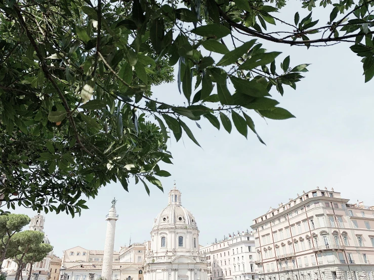 a group of people sitting on a bench in front of a building, by Cagnaccio di San Pietro, unsplash contest winner, neoclassicism, trees in foreground, dome, profile image, skyscrapers with greenery