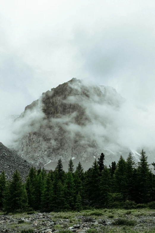 a mountain in the distance with trees in the foreground, by Alessandro Allori, unsplash contest winner, under a gray foggy sky, glacier, turbulent storm clouds, rugged face