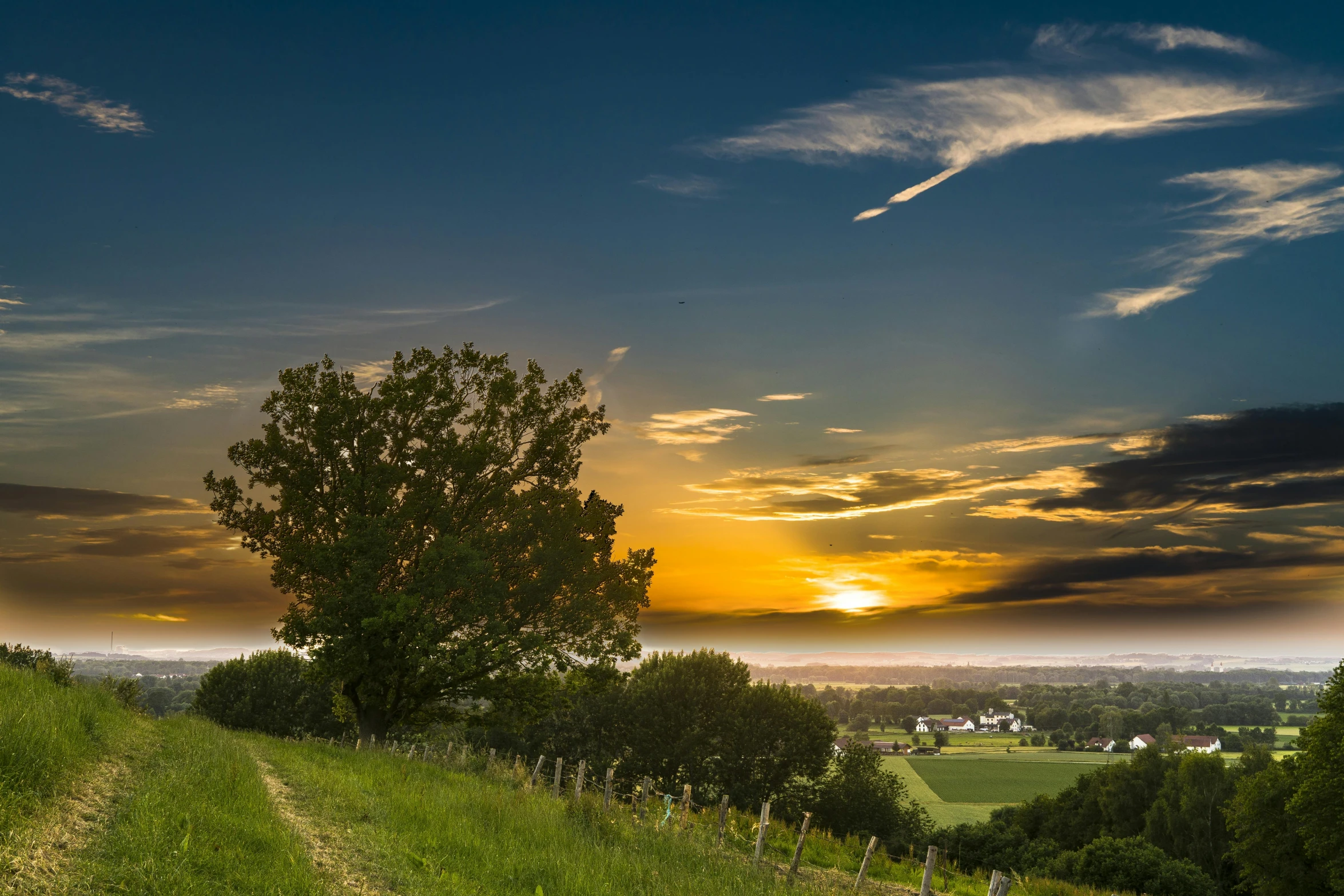 a tree sitting on top of a lush green hillside, by Sebastian Spreng, pexels contest winner, sunset panorama, detmold, distant village background, northern france