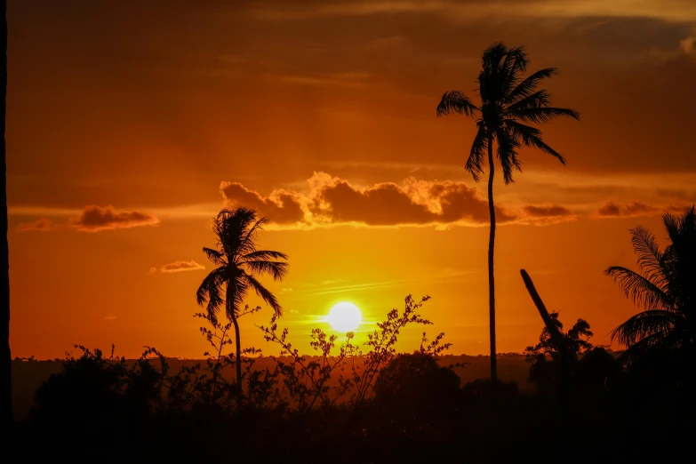 a sunset with palm trees in the foreground, by Daniel Lieske, pexels contest winner, sumatraism, two suns, vista view, hd footage, ((sunset))