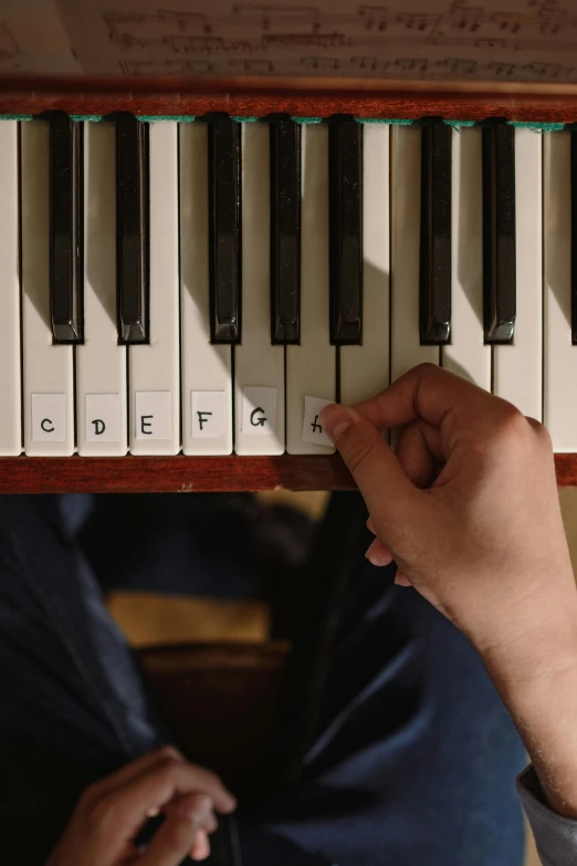 a close up of a person playing a piano, a labeled, small features, paul barson, no cropping