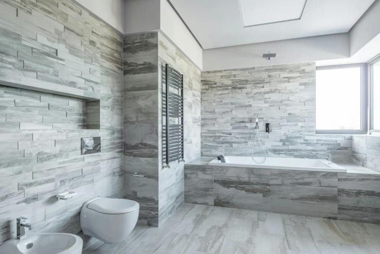 a bath room with a toilet a sink and a bath tub, a marble sculpture, soft grey and blue natural light, today\'s featured photograph 4k, stone tile hallway, white and grey