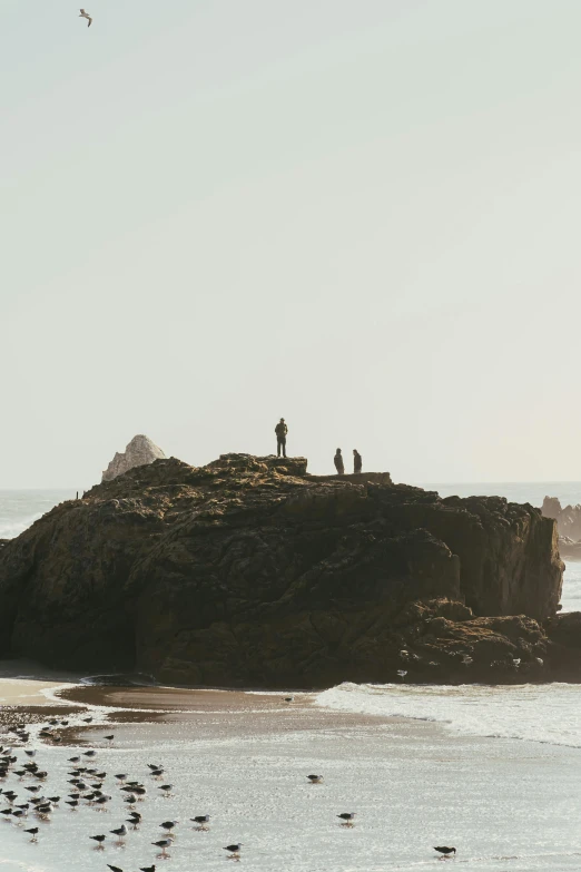 a group of people standing on top of a rock near the ocean, from afar, pch, slightly minimal, jagged rocks