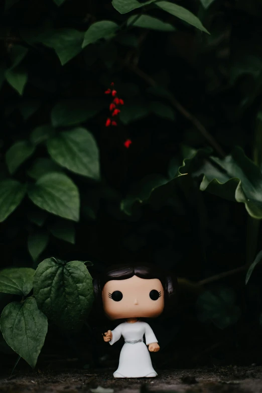 a couple of figurines sitting on top of a table, a character portrait, inspired by Elsa Bleda, unsplash, amongst foliage, funko pop, flowers in her dark hair, close up portrait photo