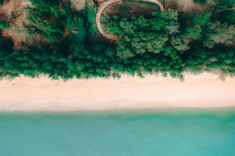 an aerial view of a bridge over a body of water, pexels contest winner, beach trees in the background, cyan and green, thomas kinkad, abel tasman