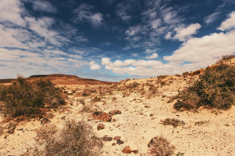 a dirt road in the middle of a desert, an album cover, unsplash, hurufiyya, manuka, scattered clouds, brown, tastes