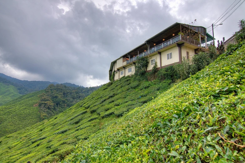 a house sitting on top of a lush green hillside, by Rodney Joseph Burn, pexels contest winner, sumatraism, tea, 9 9 designs, on a cloudy day, avatar image