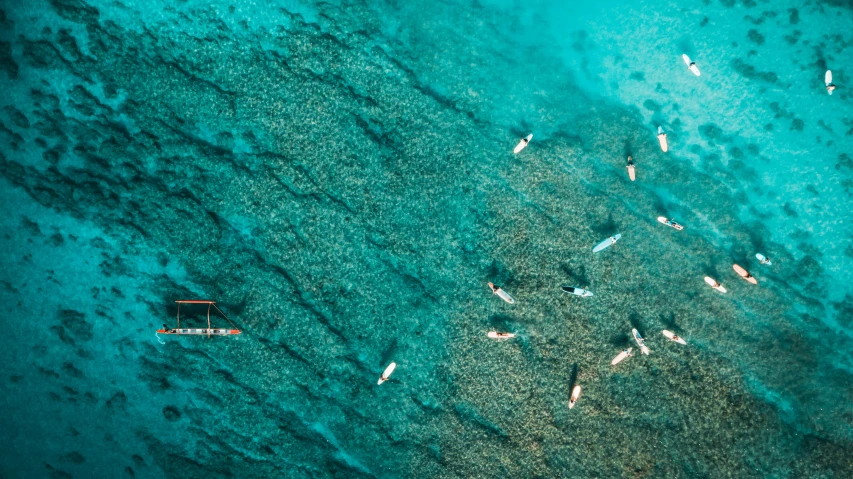 a group of boats floating on top of a body of water, a screenshot, by Carey Morris, pexels contest winner, coral sea bottom, sup, tiny people walking below, conde nast traveler photo