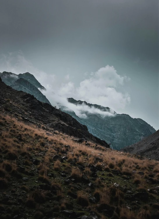 a man standing on top of a grass covered hillside, unsplash contest winner, hurufiyya, andes, grey clouds, rugged face, today\'s featured photograph 4k