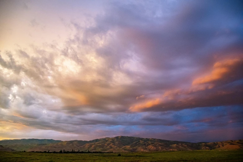 a herd of cattle grazing on top of a lush green field, by Arnie Swekel, unsplash contest winner, color field, dramatic pink clouds, central california, sunset panorama, distant mountains lights photo