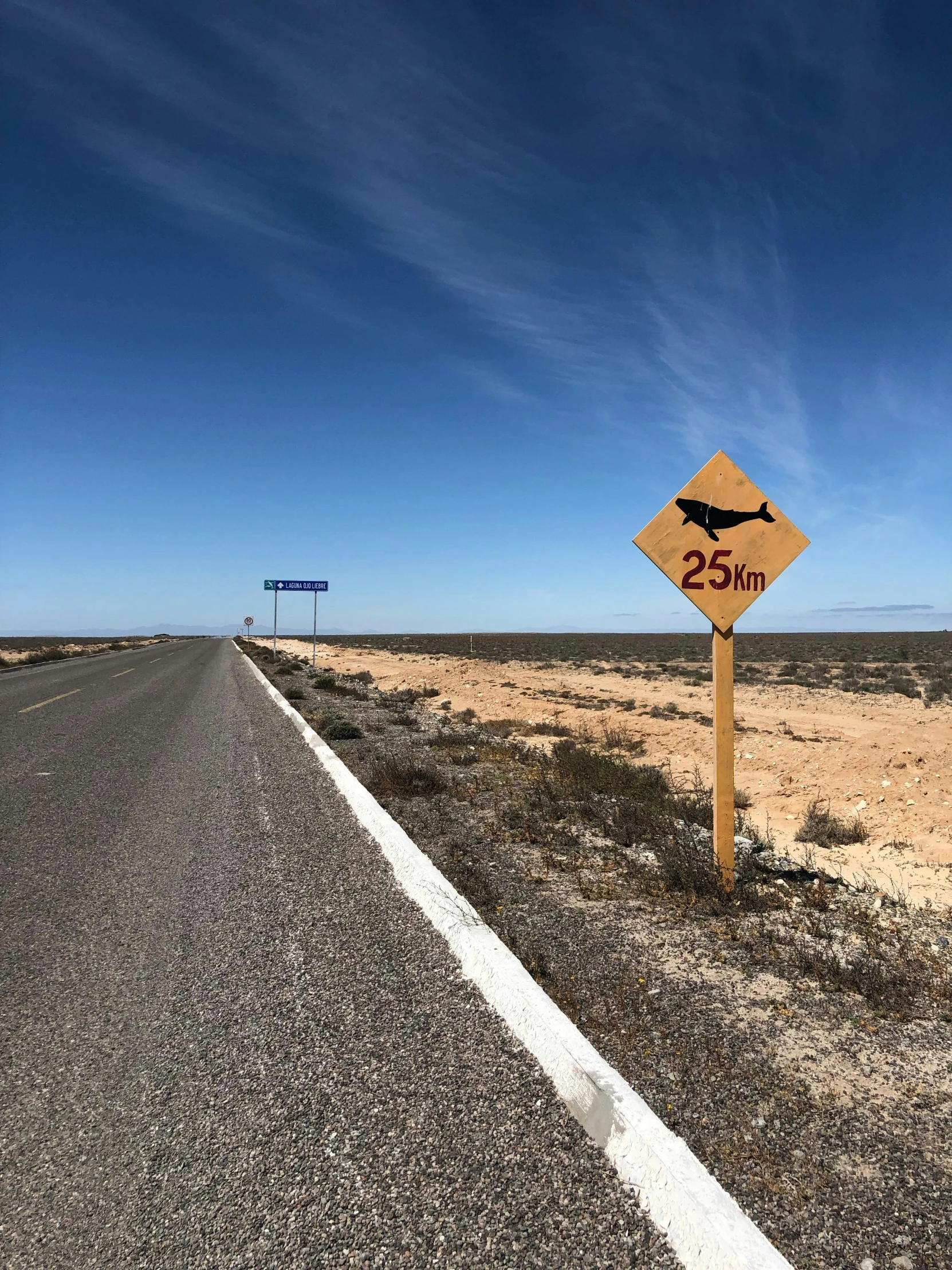 a yellow sign sitting on the side of a road, by Terese Nielsen, land art, subreddit / r / whale, desert everywhere, 1km tall, 🚿🗝📝
