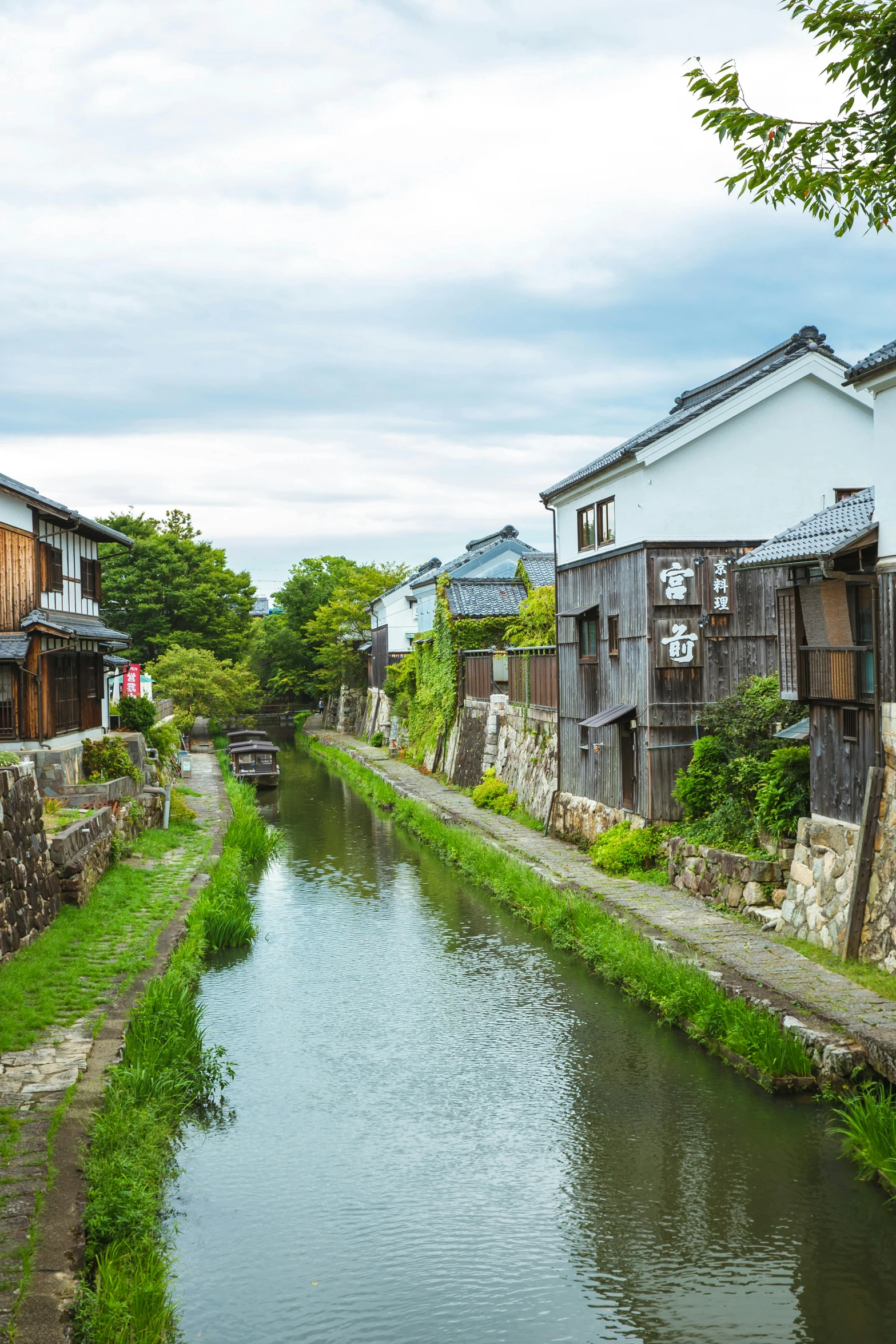 a river running through a lush green forest filled with trees, shin hanga, whitewashed buildings, alleys, けもの