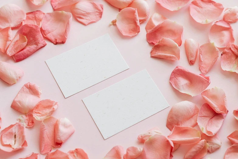 two business cards surrounded by rose petals on a pink background, by Carey Morris, trending on pexels, aestheticism, background image, product introduction photo, made of paper, multiple stories