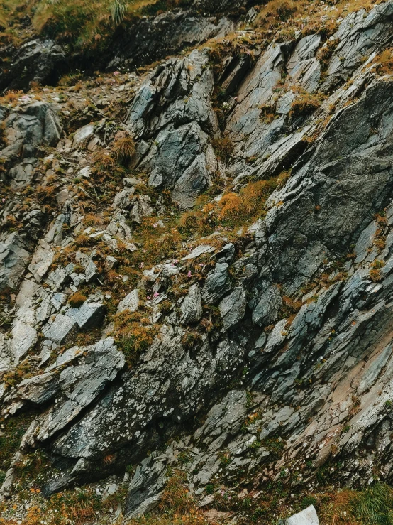 a couple of sheep standing on top of a lush green hillside, pexels contest winner, figuration libre, rock climbers climbing a rock, with lots of dark grey rocks, detail texture, brown