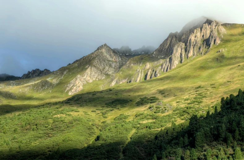 a herd of sheep grazing on top of a lush green hillside, by Cedric Peyravernay, pexels contest winner, craggy mountains, morning lighting, grey, panorama