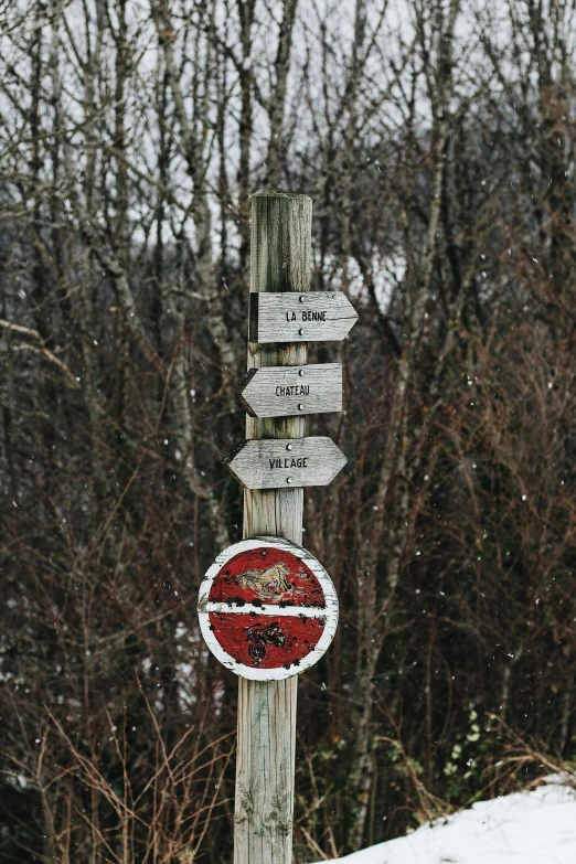 a red stop sign sitting on the side of a snow covered road, a picture, pexels, land art, northern france, totem, well worn, contain