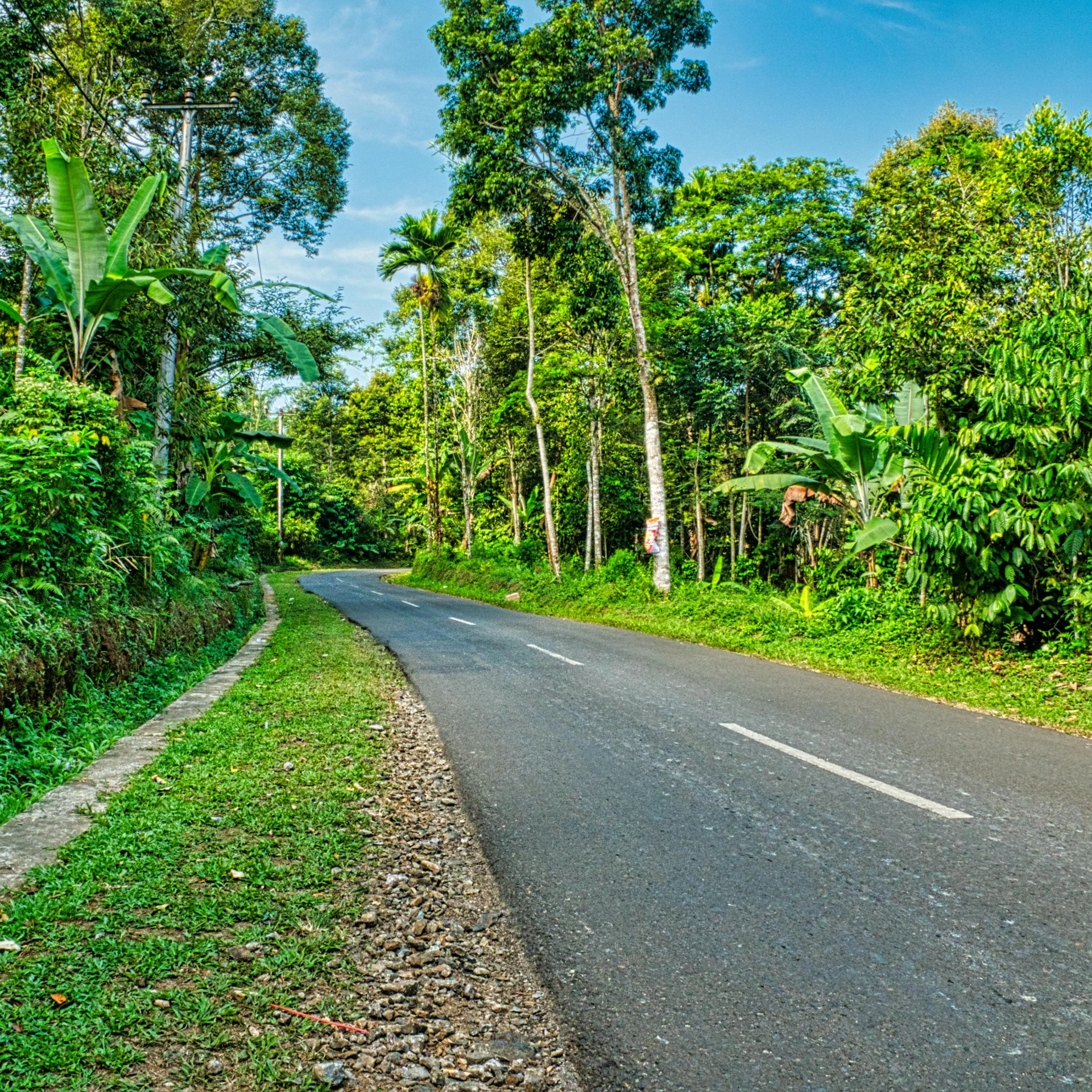 a motorcycle is parked on the side of the road, by Carey Morris, pexels contest winner, sumatraism, lush trees, thumbnail, sri lanka, open road