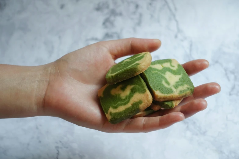 a person holding three pieces of food in their hand, inspired by Yanagawa Nobusada, unsplash, cookies, bright green swirls coming up it, close-up product photo, tiger stripes