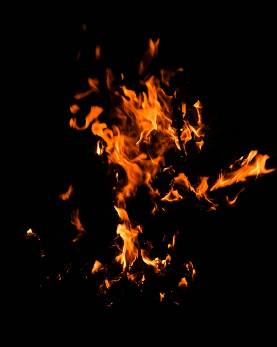 a close up of a fire on a black background, an album cover, pexels, fireflys, instagram post, profile image, 1 4 9 3