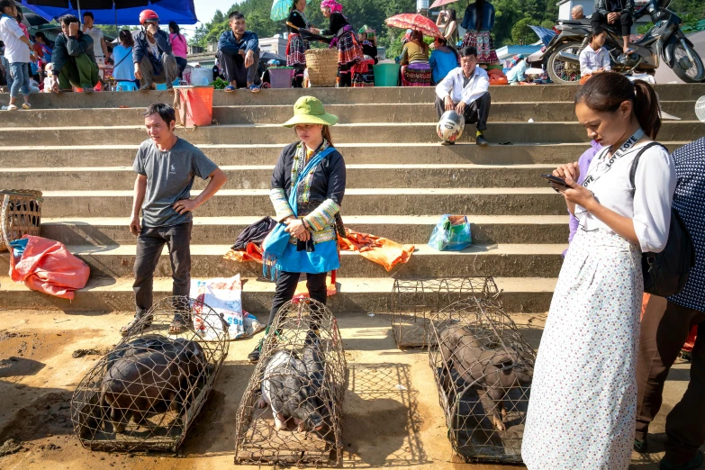 a group of people standing around a bunch of cages, pork, in style of lam manh, profile image, square