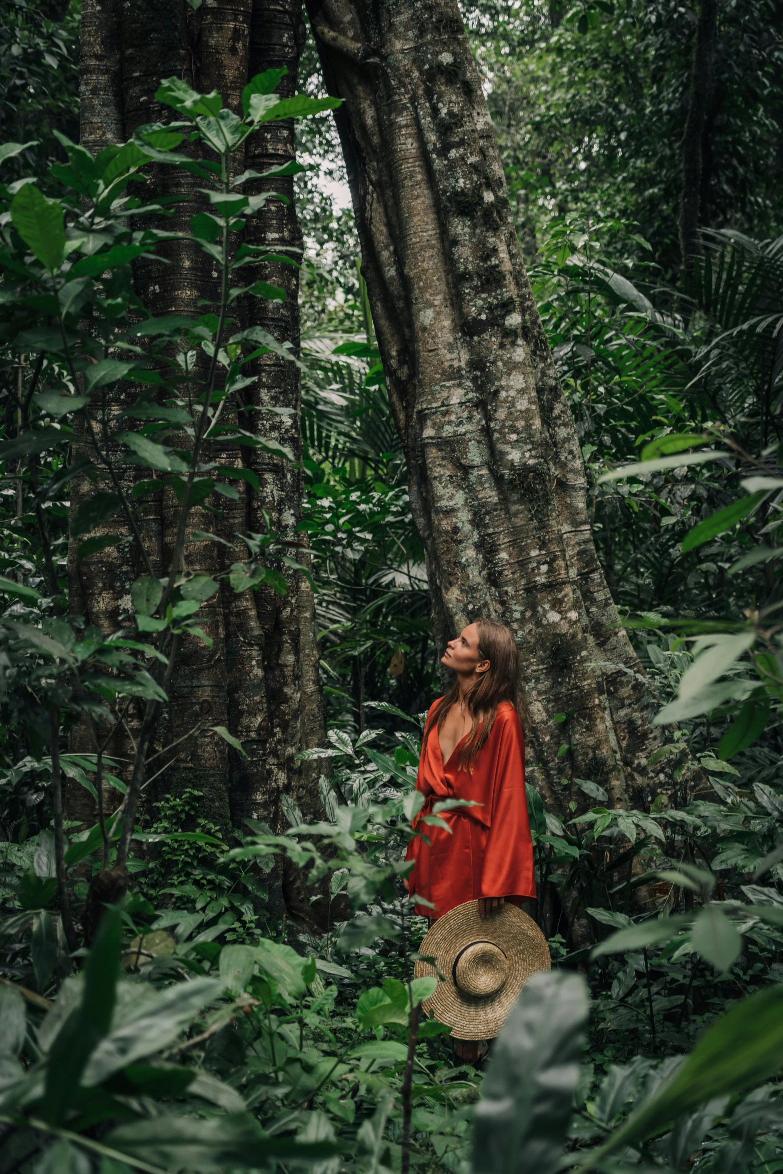 a woman standing in the middle of a forest, by Sebastian Vrancx, sumatraism, red dress and hat, lush rainforest, next to a tree, lush oasis