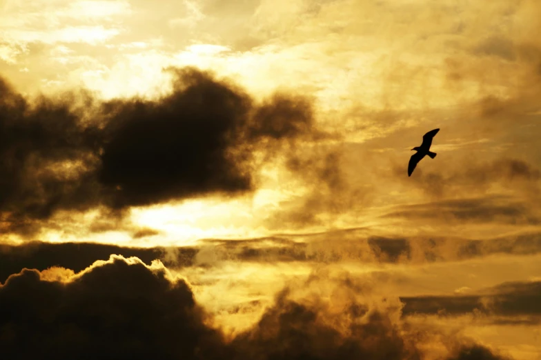 a bird flying through a cloudy sky at sunset, an album cover, pexels contest winner, romanticism, yellow, brown, black, desktop wallpaper