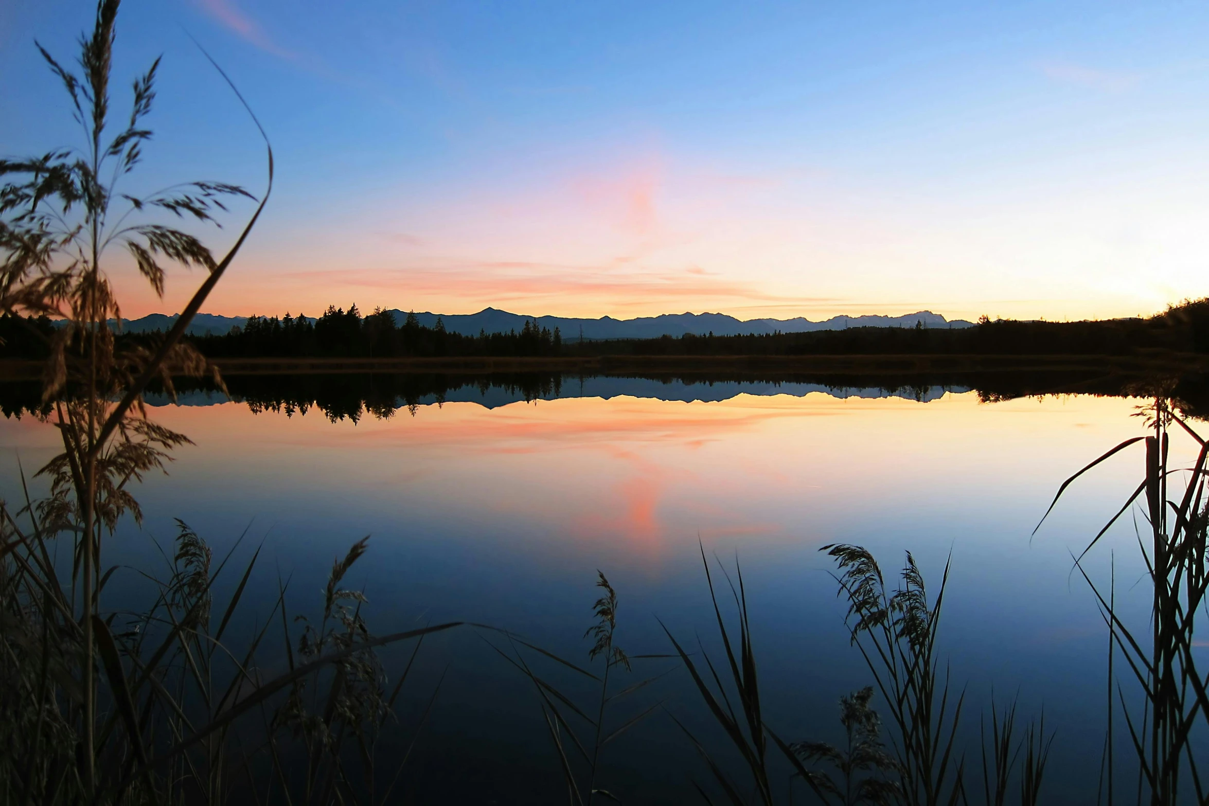 a large body of water surrounded by tall grass, a picture, unsplash, hurufiyya, twilight ; wide shot, mirror lake, fan favorite, golden bay new zealand