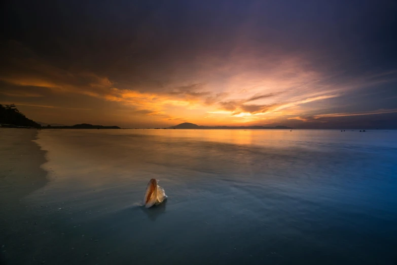 a person sitting on a surfboard in the water, inspired by Michal Karcz, unsplash contest winner, sunset halo around her head, indonesia national geographic, cute photo, serene colors