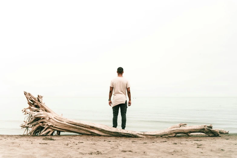 a man standing on top of a tree trunk on a beach, pexels contest winner, minimalism, gazing off into the horizon, standing in front of the altar, rooted lineage, plain background