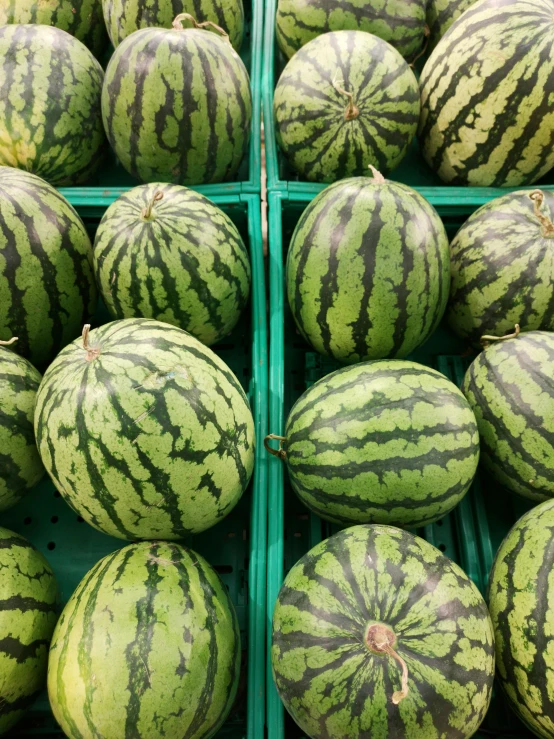 a pile of watermelons sitting next to each other, viewed from the side, center of picture, striped, high quality product image”