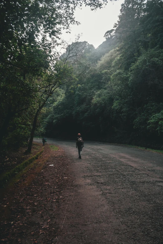 a person riding a motorcycle down a dirt road, by Elsa Bleda, unsplash contest winner, walking through a lush forest, chile, people running, melancholy scenery