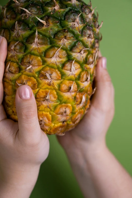 a person holding a pineapple in their hands, by Matt Stewart, square, stockphoto, large pores, a green