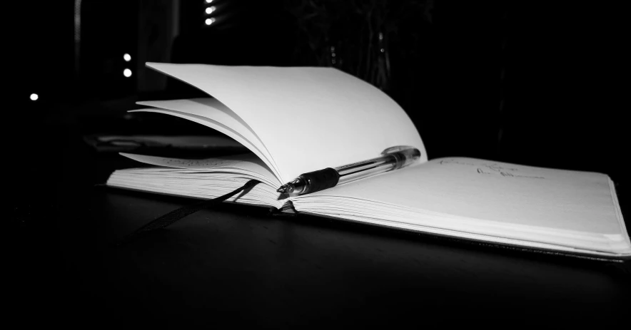 a black and white photo of an open notebook, by Karl Buesgen, facebook photo, fine pen, late evening, professional image