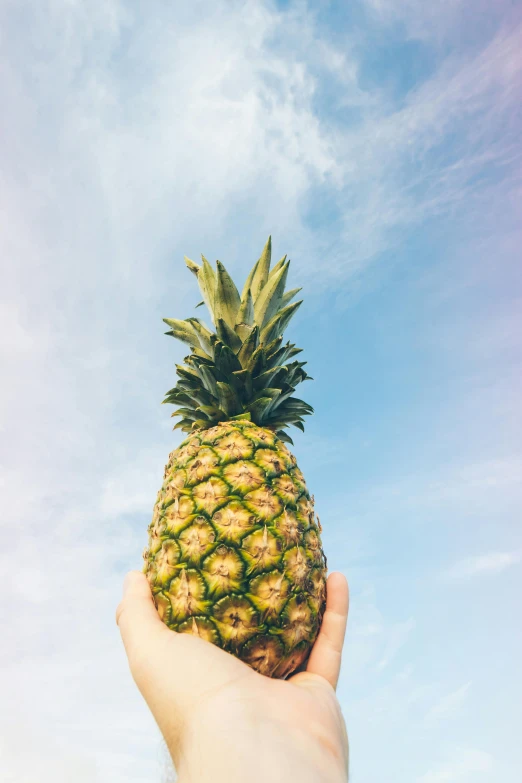 a person holding a pineapple up in the air, unsplash, sky blue, square, somewhere, made of glazed