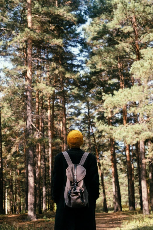 a person with a backpack walking through a forest, unsplash, naturalism, yellow, helmet view, ((trees)), head turned