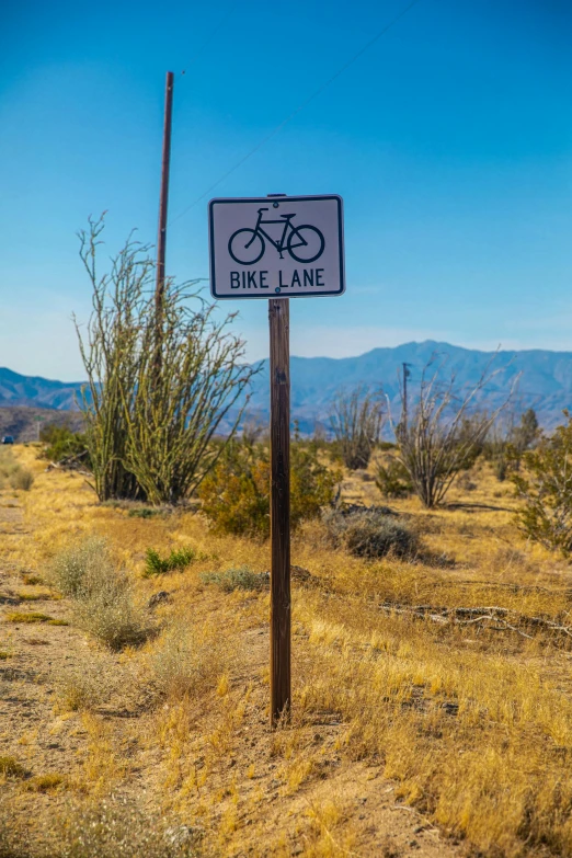 a bike lane sign on the side of a dirt road, a portrait, by Leland Bell, unsplash, land art, palm springs, square, rolling foothills, junk town