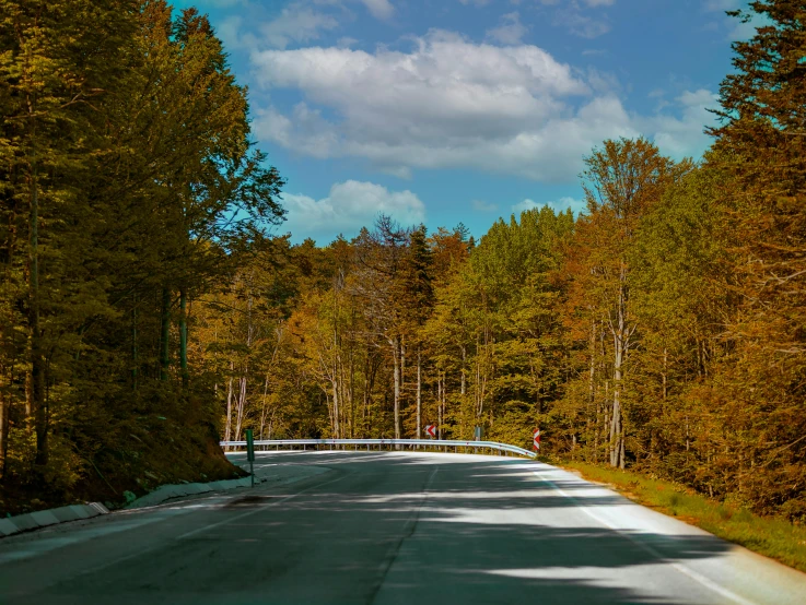 an empty road in the middle of a forest, inspired by Jan Rustem, visual art, at circuit de spa francorchamps, slide show, brown, thumbnail