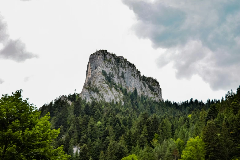 a herd of cattle standing on top of a lush green field, by Muggur, unsplash, renaissance, extremely detailed rocky crag, transylvanian castle, ominous! landscape of north bend, black fir