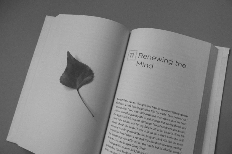 an open book with a leaf sticking out of it, a black and white photo, by Jan Rustem, mind blow, promotional material, of life the beginning, magazine spread