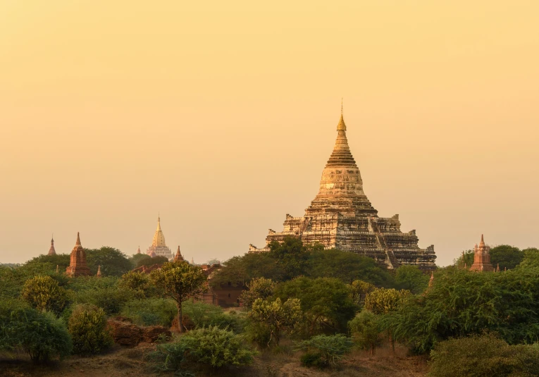 a group of elephants walking across a lush green field, unsplash contest winner, pagodas on hills, pyramid ruins at sundown, myanmar, city buildings on top of trees