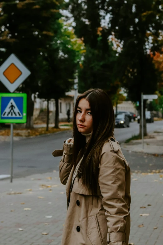 a woman standing on a sidewalk talking on a cell phone, by Attila Meszlenyi, pexels contest winner, realism, traffic signs, young with long hair, during autumn, panoramic view of girl