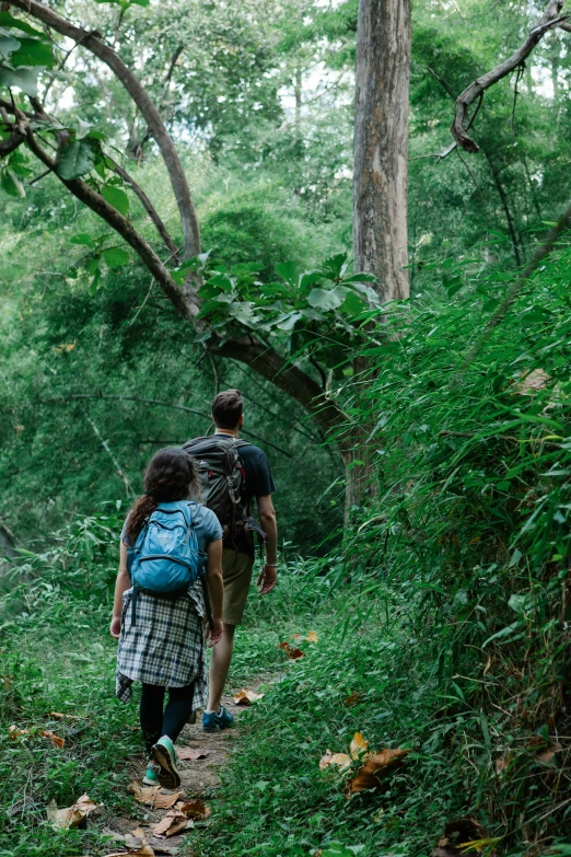 a couple of people that are walking in the woods, unsplash, sri lanka, wide greenways, australian bush, back