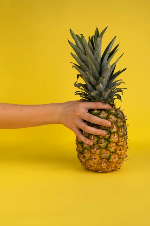 a person holding a pineapple on a yellow background, by Carey Morris, trending on unsplash, opening shot, multiple stories, on a gray background, made of food